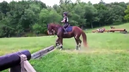 184.FUNNY HORSES ★ Funny Horse Videos 2015  (HD) [Funny Pets]
