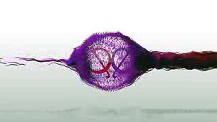 Ishqbaaz Tia To Help Anika To Expose Pinky 7th June 2017