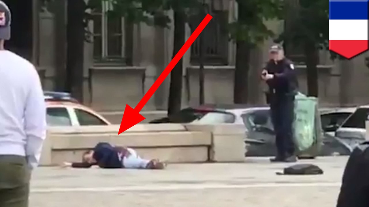 Hammer-wielding man shot after attacking cop at Notre-Dame