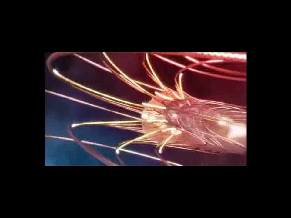 Ancient Knowledge Pt.2 Fibonacci Sequence, Golden Ratio, Phi in Nature, DNA, Fingerprint of God