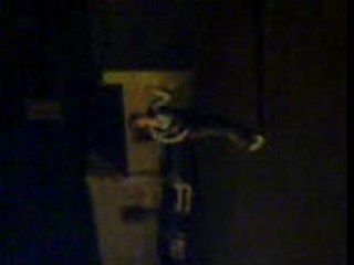 Marie dans ces jours de folli