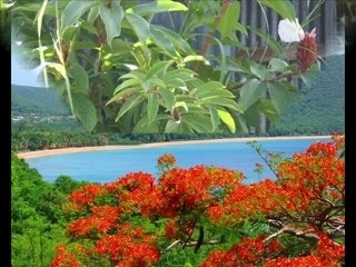 Faune et Flore de Guadeloupe