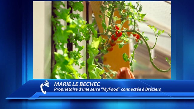 Hautes-Alpes : récolter 400 kg de fruits et légumes par an grâce à la serre connectée