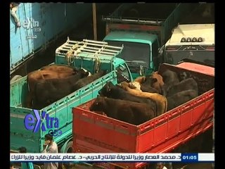 #غرفة_الأخبار | روسيا تعتزم تصدير الحبوب والمواشي لمصر