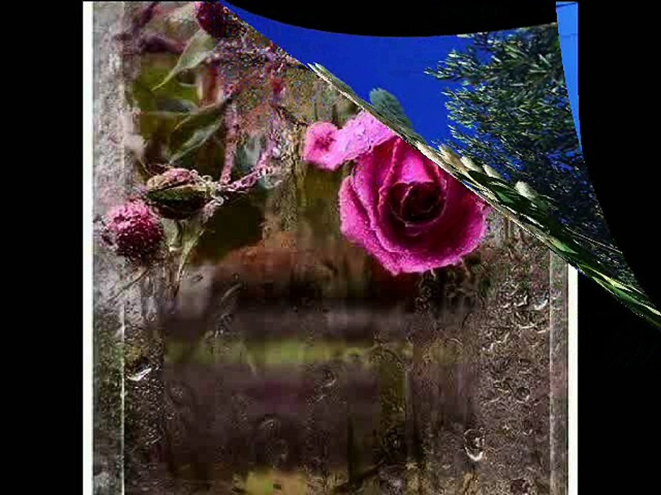 hayri şahin seni soran olusa ben ne diyeceğim