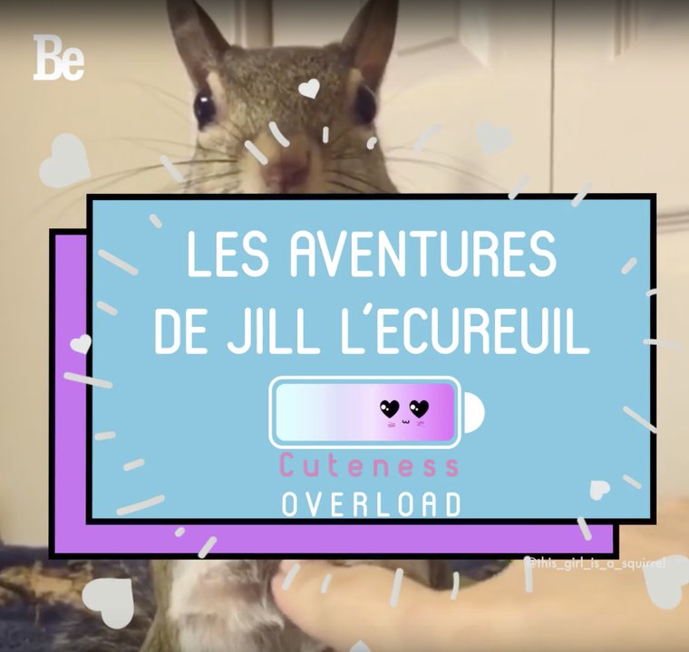 Cuteness Overload : Jill l'écureuil ; )