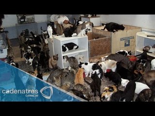 ¿Tienes síndrome de Noé? / Have Noah Syndrome?