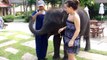 109.Lap Elephants ★ FUNNY & CUTE ELEPHANTS [Funny Pets]
