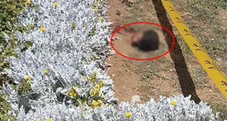 İşte Humeyni'nin Türbesinde Kendisini Patlatan Canlı Bomba