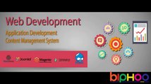 Experts Web Development Services Hinesville @  91 9212306116