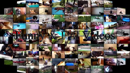 10.Headshot_Nut Shot Fails - Best Fails Compilation