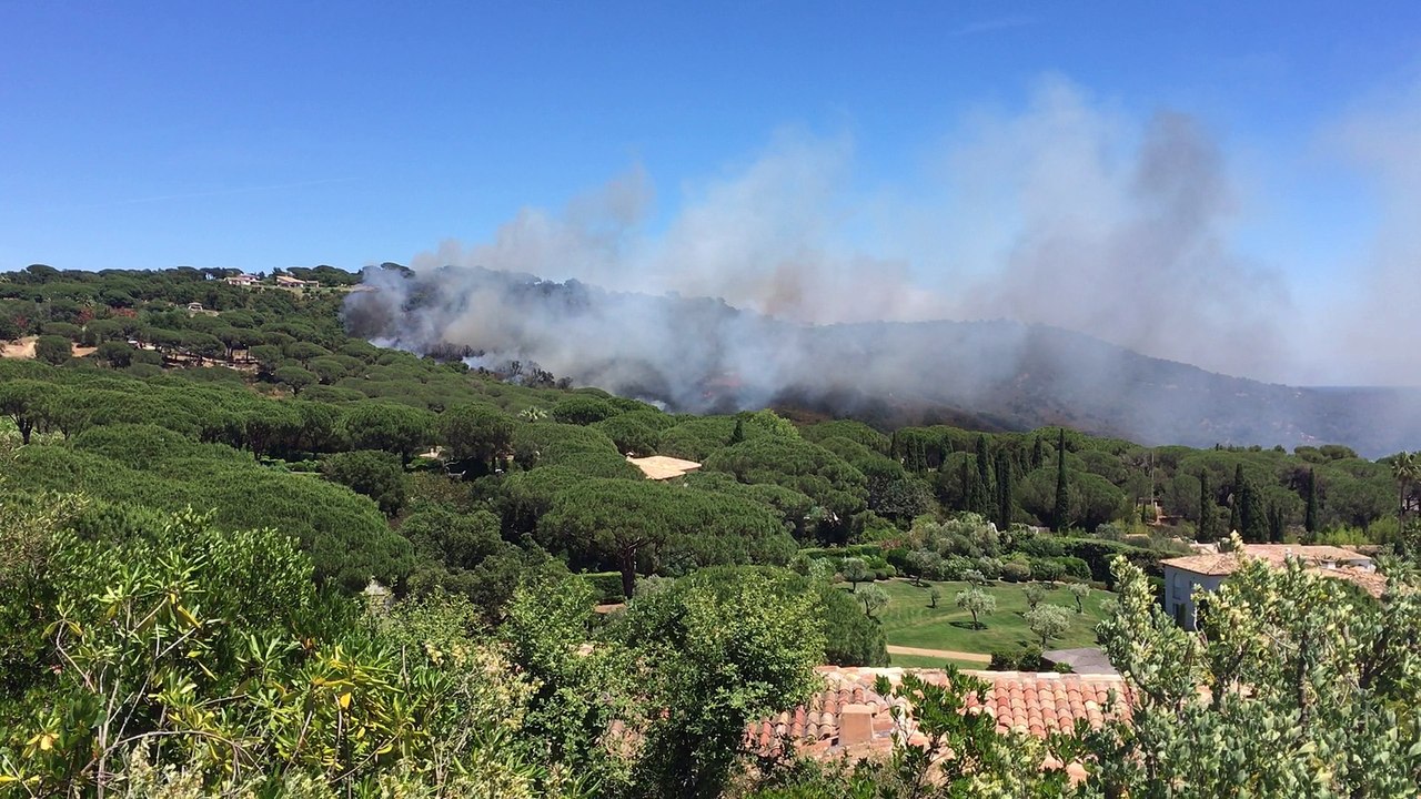 Départ de feu à Ramatuelle