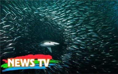 Những hiện tượng kỳ lạ sau thiên tai