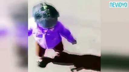 Gölgesini görünce çılgına döndü