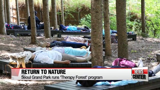 More Koreans embracing nature and its therapeutic effects