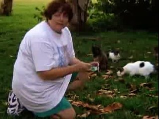 Secret Life of Cats (Nature Documentary)