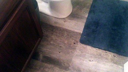 Il découvre un serpent dans la cuvette des WC...