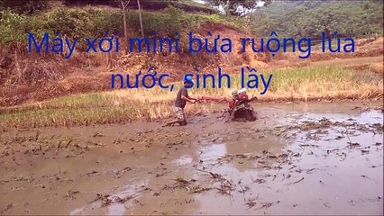 May xoi dat, may lam dat, may nong nghiep 0974800806