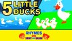 Five Little Ducks | Duck Song | Nursery Rhymes | Koo Koo Tv | Kids Songs