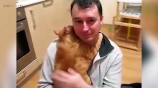 47.Cats Meeting Owners After Long Time [Funny Pets]