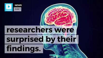 Moderate drinking can harm brain, study says