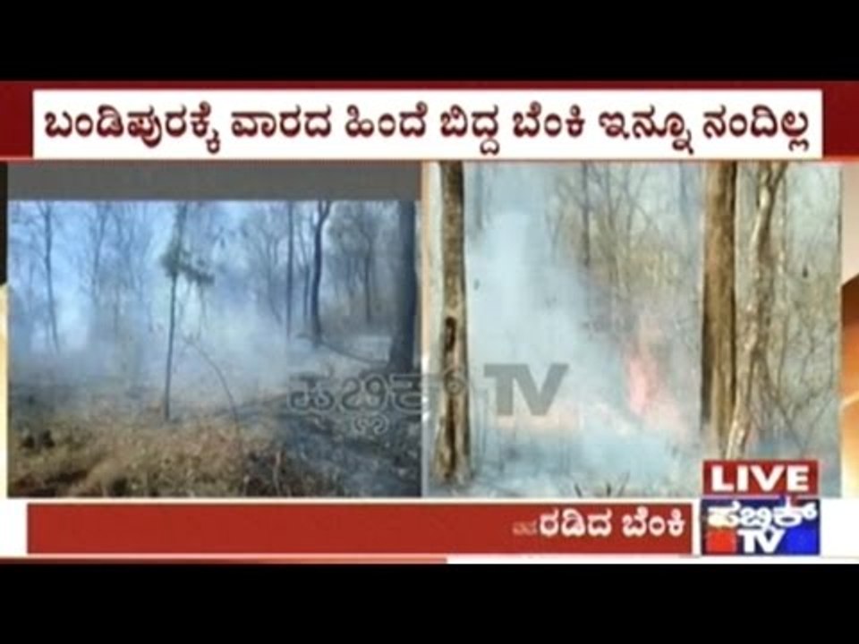 Bandipur: Over 1000 Acres Of Trees Destroyed Due To Wildfire Which Started Last Week