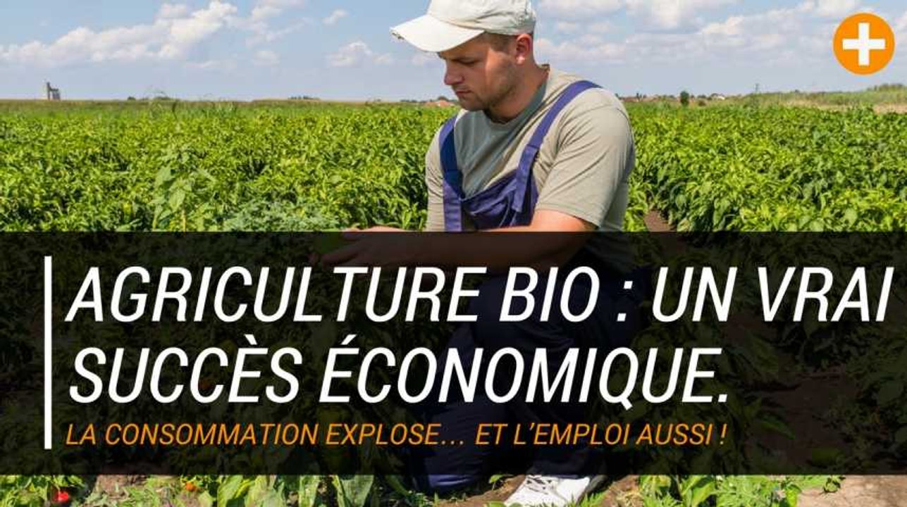 Agriculture bio : un vrai succès économique.
