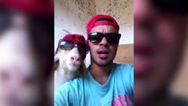16.Funny Goats 2017   GOATS Making Funny Sounds and Noises [Funny Pets]