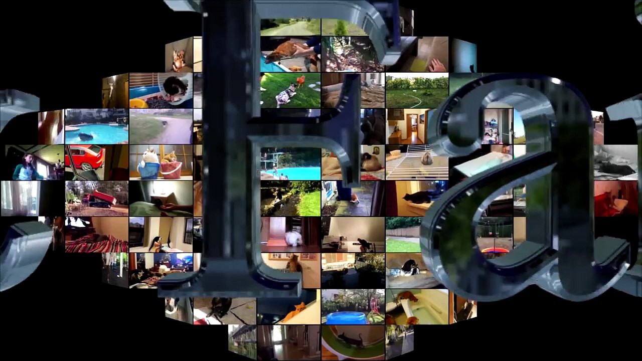 37.Animal Fails of the Week 3 January 2017 - Dog Fails - Cat Fails - Animal Fails Compilation 2017