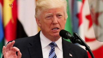 Trump Pitched Solar-Power Border Wall That Would ‘Pay for Itself’