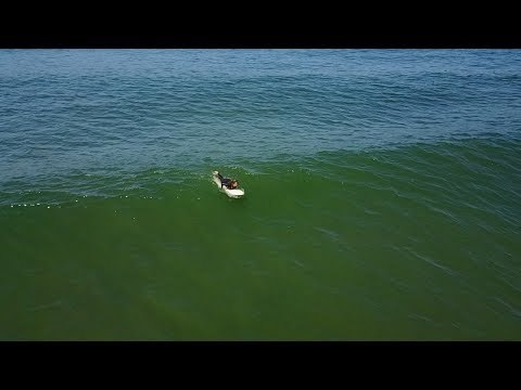 Pregnant Woman Surfs in Beautiful Video