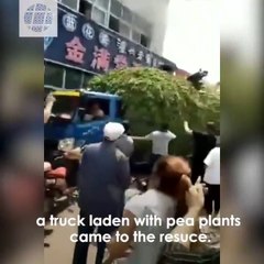 Sauvetage in extremis pendant un incendie dans un immeuble... Incroyable