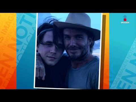 Los Beckham paseando entre animales | Imagen Noticias con Francisco Zea