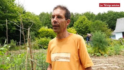 Sizun (29). Des jardiniers "zéro pesticide" livrent leurs secrets