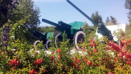 Бреветы 200 км г. Луганск 2017 г.