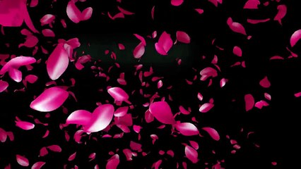 Is It Love Drogo Chapitre 5 Bande Annonce