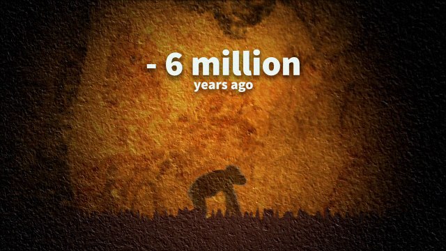 Milestones in human evolution
