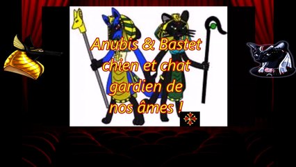 Anubis ☯ Bastet ↔ Chiens et Chats▶Gardiens de nos âmes◄
