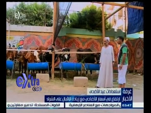 #غرفة_الأخبار | ارتفاع في أسعار الاضاحي مع زيادة الاقبال على الشراء