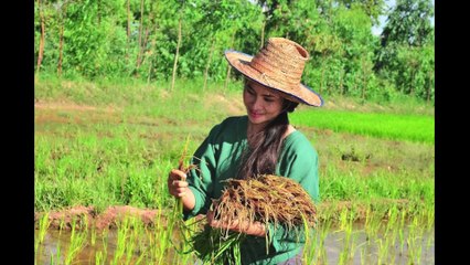 น้ำตาสาวจัตุรัส (ข้าวทิพย์ ธิดาดิน) Nam ta sao Jat-dtu-rat - YouTube