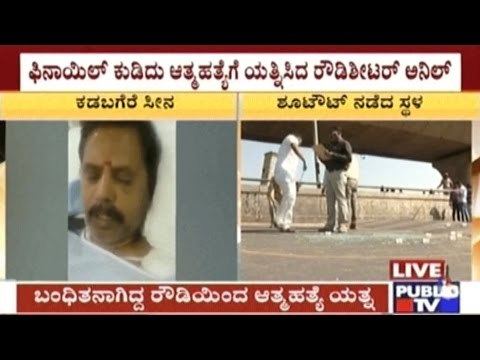 Kadabagere Accused Anil Attempts Suicide In Jail