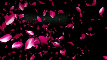 BANDE ANNONCE Is It Love Drogo chap 5