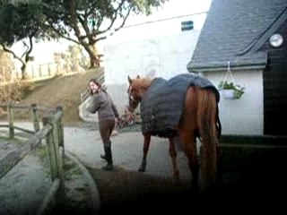 petite ballade avec mon cheval