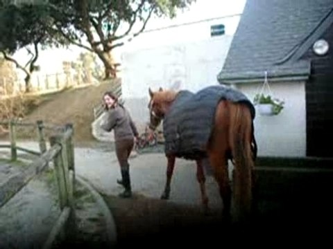 petite ballade avec mon cheval