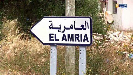 عين تموشنت: العامرية..مدينة تحكي الألم على قوارب الموت