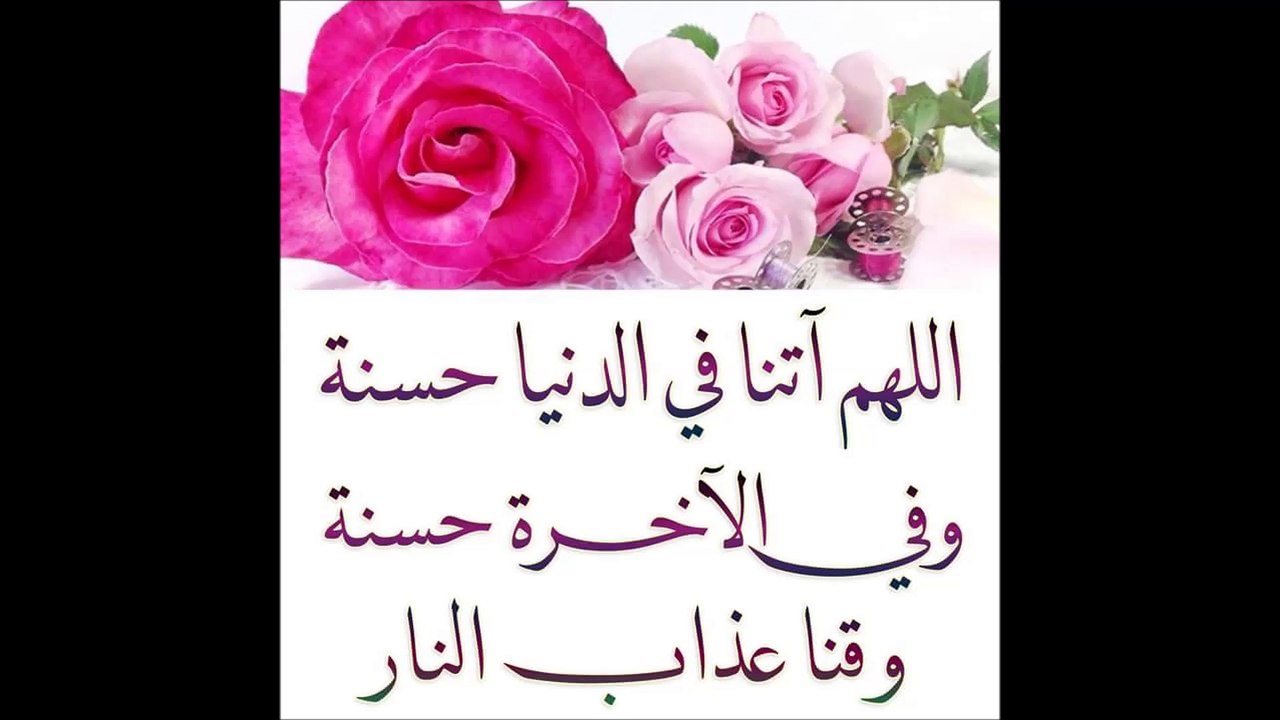 دن و رات ھو ہر وقت پڑھنا چاہے