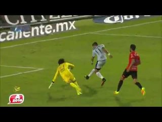 Los mejores momentos del Jaguares vs. Gallos