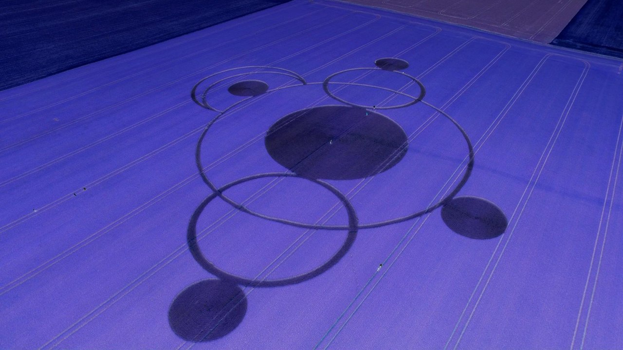 Yann André présente : Le crop-circle Sancerrois Juin 2017. dans le Cher (18).