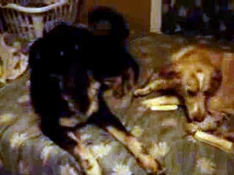 Very Creepy Ghost Footage