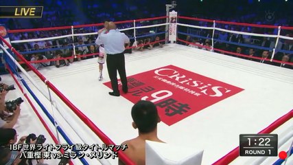 Milan Melindo vs Akira Yaegashi (21-05-2017) Full Fight